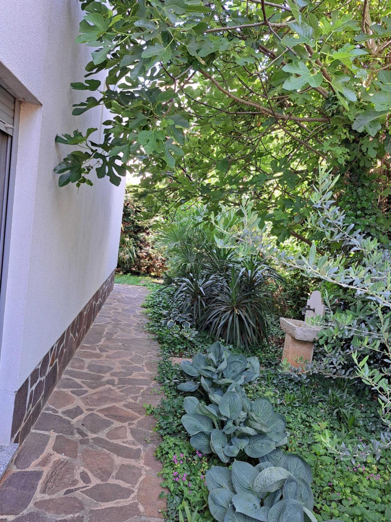 Apartment Umag Dış mekan fotoğraf